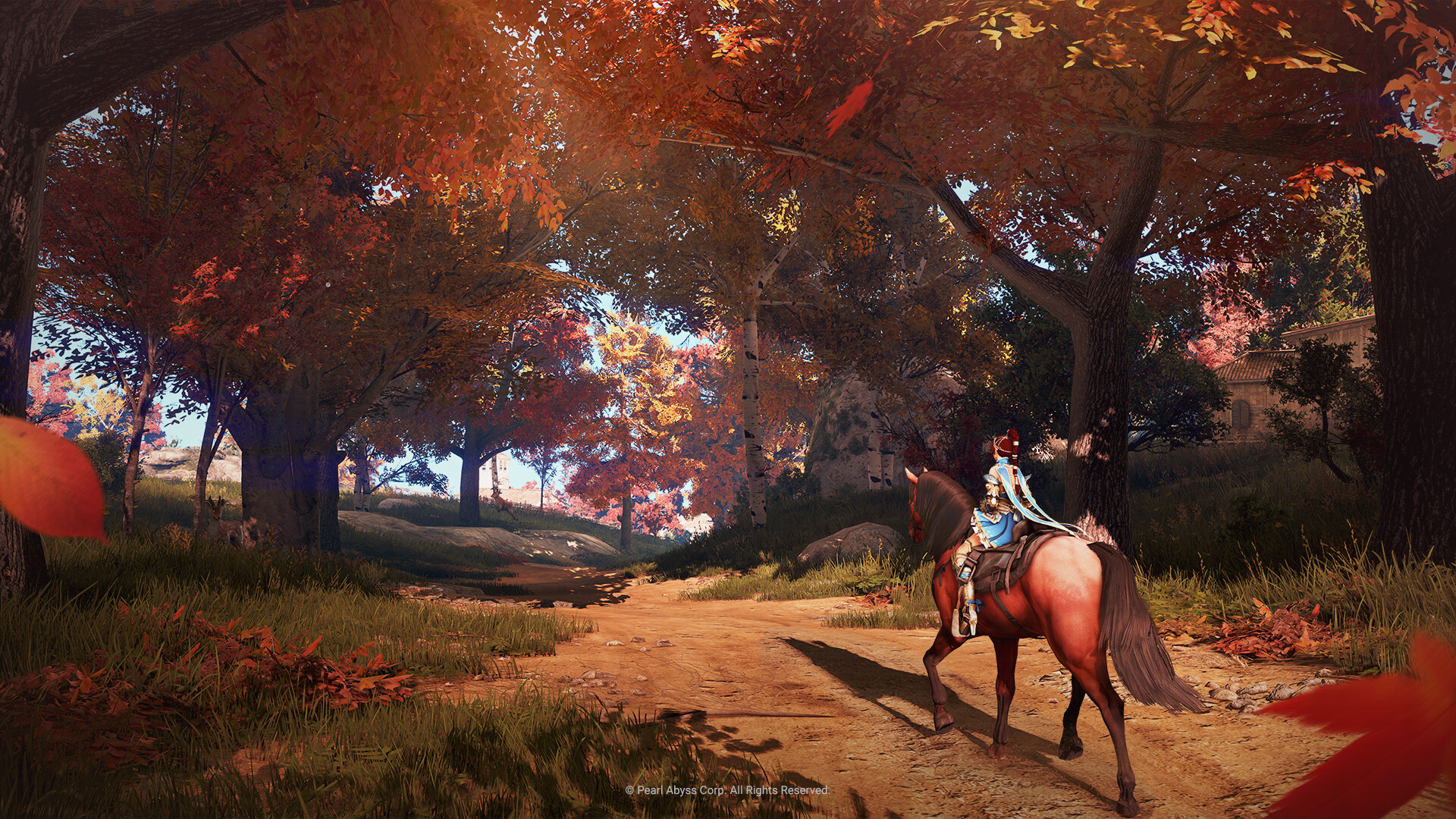 Black Desert screenshot