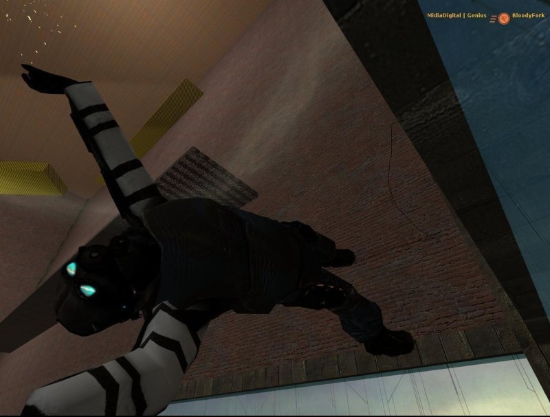 Half-Life 2: Deathmatch screenshot
