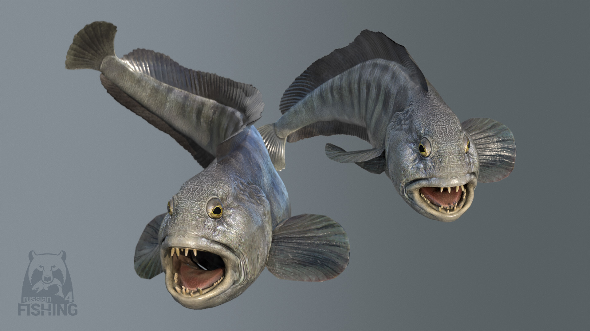 Russian Fishing 4 screenshot