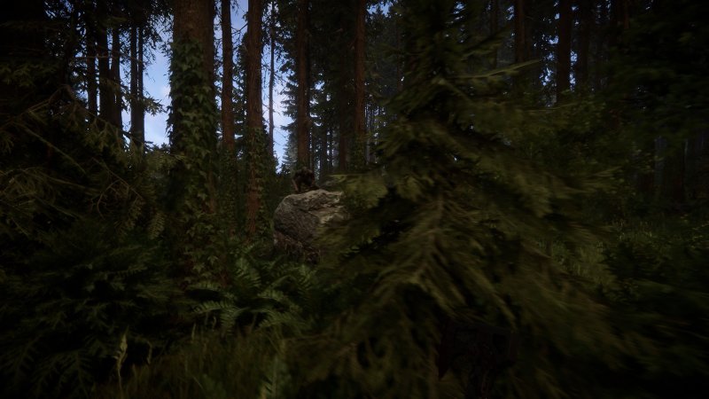 Sons Of The Forest screenshot